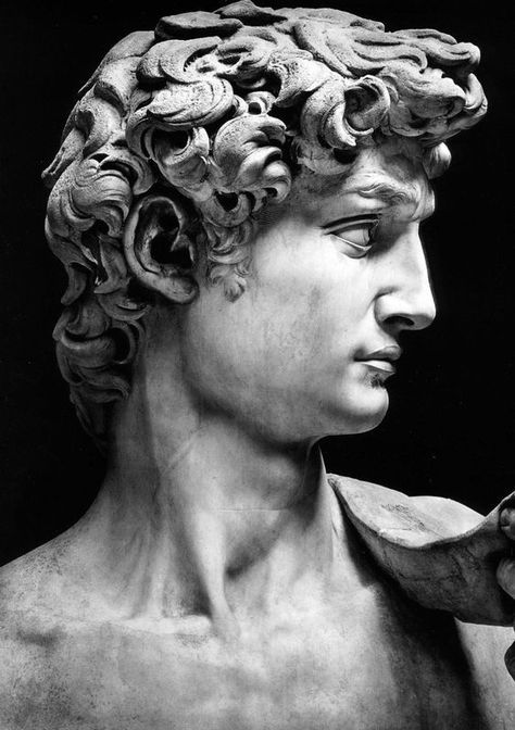 Sculpture Of David, A Black, Canvas Print, Statue, Sculpture, Black And White, Frame, Canvas, Hair