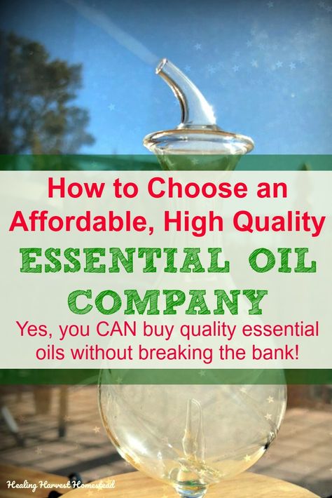 How to Choose Affordable, High Quality Essential Oils (No, You Don't Need to Break the Bank to Get Good Quality Essential Oils) — Home Healing Harvest Homestead Fall Diffuser Blends, Essential Oil Brands, Essential Oil Companies, Essential Oils Guide, Coconut Oil Uses, Essential Oil Blends Recipes, Using Essential Oils, Vanilla Essential Oil, Plant Therapy