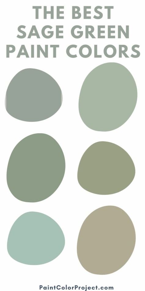 Green Gray Paint Colors, Green Gray Paint, Sherwin Williams Paint Colors Green, Sage Palette, Green Exterior Paints, Green Scrapbook, Sherwin Williams Green, Olive Green Paints, Sage Green Paint Color