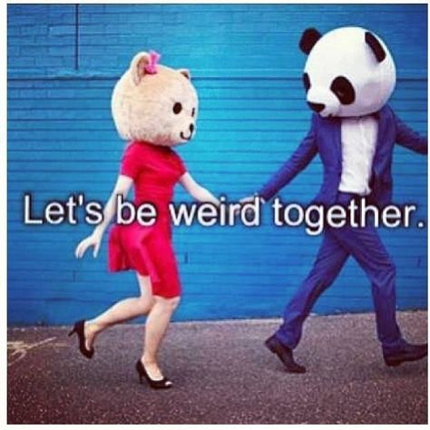 Let's be weird together <3 Lets Be Weird Together, Weird Photos, Be Weird, Love People, The Only Way, Teddy Bear, Humor, Let It Be, Quotes