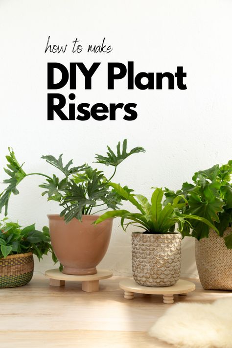 DIY plant risers Make Your Own Plant Pots, Diy Small Plant Stand, Diy Plant Riser Indoor, Diy Planter Pots Indoor, Plant Raisers, Plant Risers Ideas Diy, Diy Plant Riser, Diy Plant Display Indoor, Plant Accessories Diy