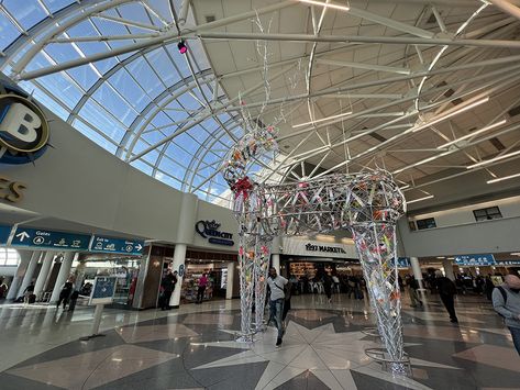 4 things to know before you head to Charlotte Douglas International Airport for holiday travel - Axios Charlotte Charlotte Douglas International Airport, Tsa Precheck, Traffic Congestion, Thanksgiving Travel, Bus System, International Airport, Holiday Travel, Things To Know, Winter Holidays