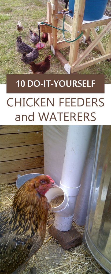 Chicken Feeder Diy, Easy Chicken Coop, Chicken Barn, Chicken Coup, Chicken Tractors, Chicken Feeders, Chicken Tractor, Chicken Feeder, Chicken Coop Designs