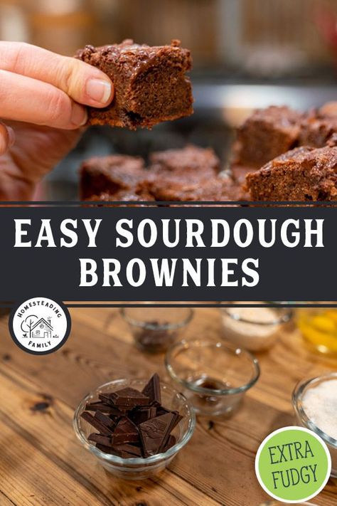 Sourdough Discard Brownies, Beetroot Brownies, Sourdough Brownies, Homesteading Family, Fudgy Brownie Recipe, Bakers Chocolate, Easy Sourdough, Fudgy Brownie, Homemade Sourdough