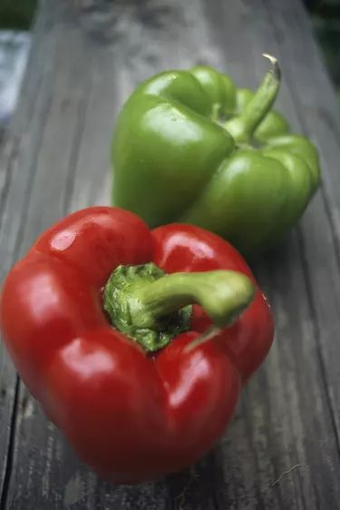 How to Save Bell Pepper Seeds | eHow Bell Pepper Seeds, Harvesting Sunflower Seeds, Saving Seeds, Edible Seeds, Vegan Roast, Fall Vegetables, Green Pepper, Seed Saving, Pepper Seeds