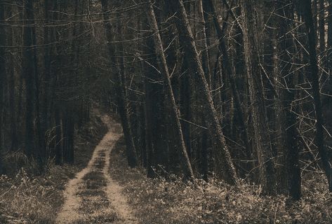 The Secret Paths That Led Ireland’s Catholics to Forbidden Mass  -  Path to Carrive Mass Rock. Kumano Kodo, Ireland Aesthetic, Irish Countryside, County Kerry, Location Inspiration, Visit Ireland, Irish History, Strange Places, Gothic Aesthetic