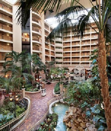 Orlando International Drive, Living Room With Kitchen, International Drive Orlando, Orlando Family, Orlando Hotel, Florida Orlando, Hilton Hotels, Embassy Suites, Grass Roots