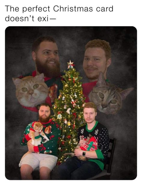 Cat Family Photo, Awkward Family Photos Christmas, Pet Family Photos, Funny Family Christmas Cards, Funny Christmas Photos, Christmas Couple Photos, Dog Christmas Pictures, Christmas Couple Pictures, Cat Christmas Cards