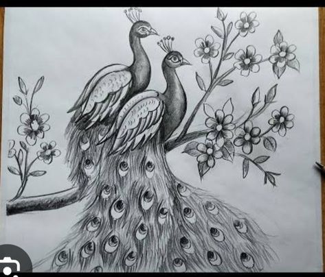 Peacock Drawing Images, Peacock Sketch, Peacock Drawing, Art Markers Drawing, Pencil Drawing Images, Pokemon Sketch, Realistic Pencil Drawings, Pen Art Drawings, African Art Paintings