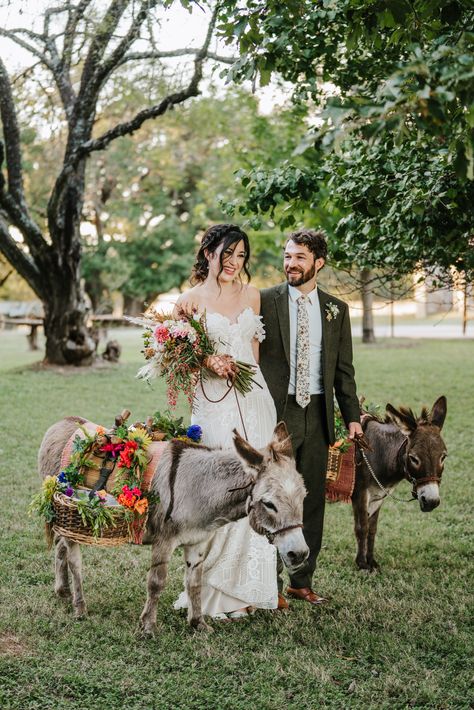 Miniature donkeys/beer burros serving drinks to guests at cocktail hour Mules And Donkeys, Donkeys At Weddings, Beer Burro Wedding, Beer Donkey Wedding, Tequila Donkey, Wedding Donkeys, Beer Donkey, Donkey Wedding, Beer Burro