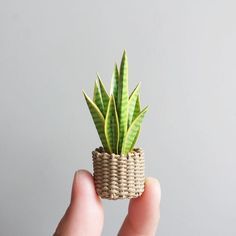 I Can't Seem To Keep Plants Alive, So I Made My Dream Indoor Garden Out Of Art Materials Jungalow Decor, Paper Plants, Tanah Liat, Tiny Plants, Miniature Plants, Tiny House Decor, Modern Dollhouse, Mini Plants, Miniature Diy