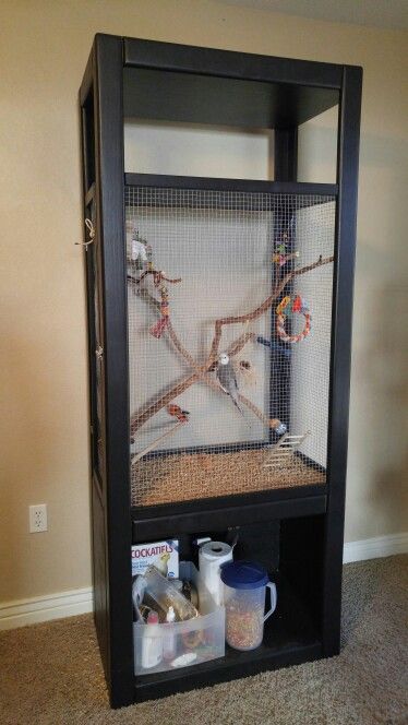 DIY Cockatiel Cage Diy Parakeet Cage, Fancy Parakeet, Bird Room Ideas, Bird Cage Ideas, Cockatiel Cage, Diy Bird Cage, Parakeet Toys, Bird Room, Diy Bird Toys