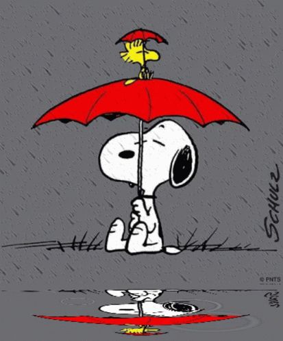 Gifs Snoopy, Snoopy Videos, Rain Gif, Snoopy Tattoo, Snoopy Dance, Woodstock Snoopy, Snoopy Comics, Snoopy Cartoon, Snoopy Funny