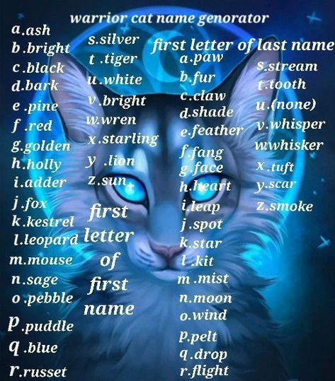 Hello I am brightstar Warriors Name Generator, Warrior Cat Name Ideas, Warrior Name Generator, Warrior Cats Name Generator, Oc Generator, Funny Name Generator, Warrior Cat Names, Warrior Names, Warrior Cat Memes