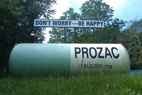 prozac Prozac Aesthetic, Fork In The Road, Hudson River Valley, Red Hook, River Valley, Hudson River, Pop Songs, Im Going Crazy, Funny Pics