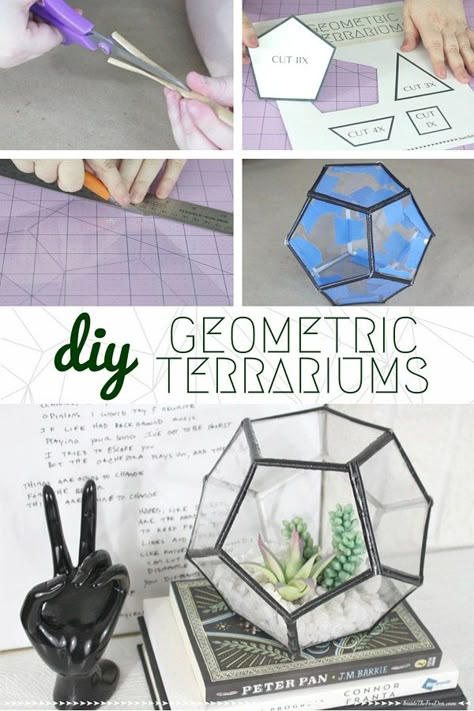 When friends and family see this DIY Geometric Terrarium on your shelf, they're going to think you bought it in a high end store! Thermoplastic Ideas, Geometric Terrarium Diy, Diy Geometric Decor, Terrariums Diy, Fox Den, Diy Ombre, Geometric Terrarium, Terrarium Diy, Terraria