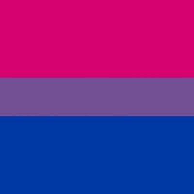 Pride Flag, Flag, Purple, Pink, Blue, Color