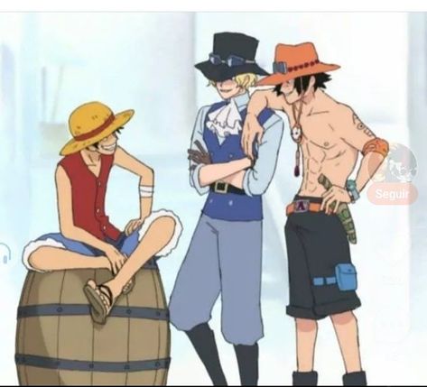 رورونوا زورو, Ace Sabo Luffy, Ace And Luffy, One Piece Crew, The Pirate King, One Piece Ace, One Piece Funny, One Peice Anime, One Piece Drawing