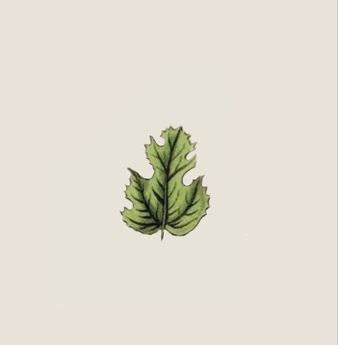 Leaf Icon Aesthetic, Leaf App Icon, Cottagecore Icons, Plant Icon, Ghibli Artwork, Vintage Flowers Wallpaper, Iphone Wallpaper Ios, Iphone Style, Phone Inspiration