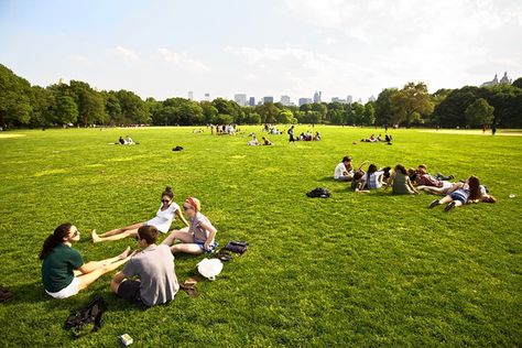 Much more than just a day in the park: 'A lot of people don't like... Tropical House Design, Primrose Hill, Pub Design, Eco Lifestyle, Sport Park, Lawn And Landscape, Tropical House, After School Program, Picnic In The Park