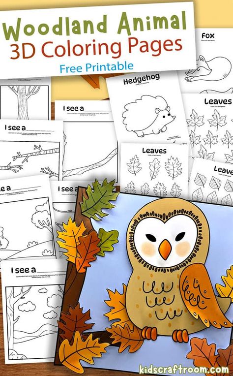 Forest Animals Preschool Activities Free Printables, 3d Coloring Pages Free Printable, 3d Colouring Pages, Woodland Animal Crafts, Heartwood Hotel, Woodland Animals Coloring Pages, Forest Animal Art, Animal Colouring, Forest Crafts