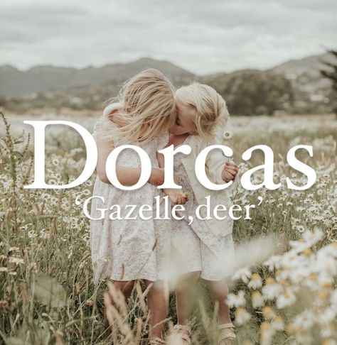 Biblical girl name Dorcas. Gazelle Wallpaper, Random Names, Royal Names, Feminine Names, Biblical Names, Best Character Names, Cute Mobile Wallpapers, Aesthetic Names, Homeschooling Ideas