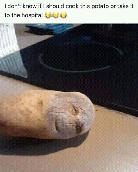 Potato Meme, A Potato, Kitchen Humor, 웃긴 사진, Crazy Funny Memes, Meme Funny, Very Funny Pictures, Real Funny Jokes, Some Funny Jokes