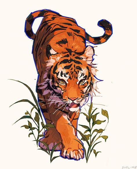 Running Tiger, Drawing Made Easy, Tiger Drawing, Tiger Illustration, Big Cats Art, Tiger Art, Tiger Tattoo, Cat Family, Animal Sketches