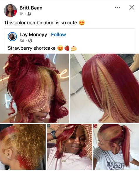 Hair Color Ideas 2 Colors, Black Woman Hair Dye Ideas, Fall Colors To Dye Your Hair Black Women, Colors To Dye Hair Black Women, Dyed Hair Black Women 4c, Skunk Hair Ideas, Peanut Butter And Jelly Hair Color, Locs With Colored Tips, Burgundy And Blonde Hair Black Women