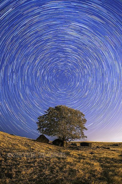 Astrophotography Tutorial, Star Trails Photography, Sky Images, Scenery Photos, Star Photography, The North Star, Reflection Photography, Long Exposure Photography, Star Trails