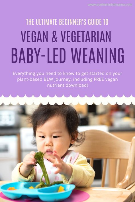 Vegan Baby Led Weaning, Vegan Blw, Baby Led Weaning First Foods, Baby Led Weaning Recipes, Vegan Baby, Reusable Nappies, Eco Friendly Baby, Solids For Baby, Baby Blog