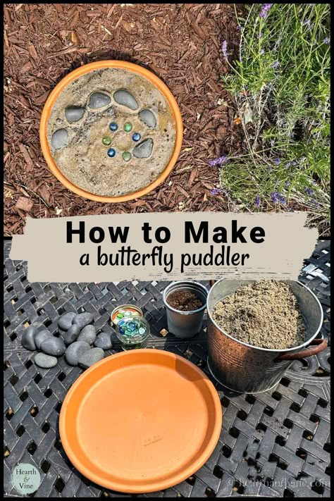 Butterfly Water Station, Butterfly Garden With Bench, Indoor Butterfly Habitat, Butterfly Crafts Kids, Butterfly Food Feeder, Potted Butterfly Garden, Butterfly Bath Diy, Garden Repurpose Ideas, Diy Butterfly Garden Ideas