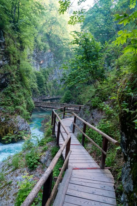 How to visit Vintgar Gorge Vintgar Gorge Slovenia, Lake Bled Slovenia, Lake Activities, Bled Slovenia, Slovenia Travel, World Of Wanderlust, Lake Bled, Voyage Europe, Croatia Travel