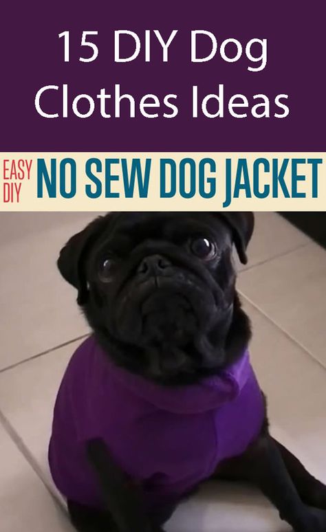 Diy Dog Coat No Sew, No Sew Dog Sweater, Diy Pitbull Clothes, No Sew Dog Clothes, Diy Small Dog Clothes, Diy Puppy Clothes, Dog Coats Patterns Free Sewing, Dog Coat Pattern Free Printable, Diy Dog Jacket