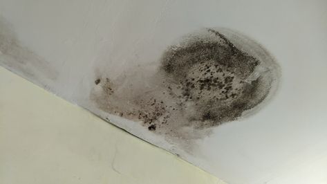 Does The Ceiling Need To Be Replaced After Water Damage? How To Repair Ceiling Water Damage, Water Damaged Ceiling, Repair Ceilings, Living Dining Room Ideas, Drywall Ceiling, Water Damage Repair, Rv Water, Wet Spot, Leak Repair