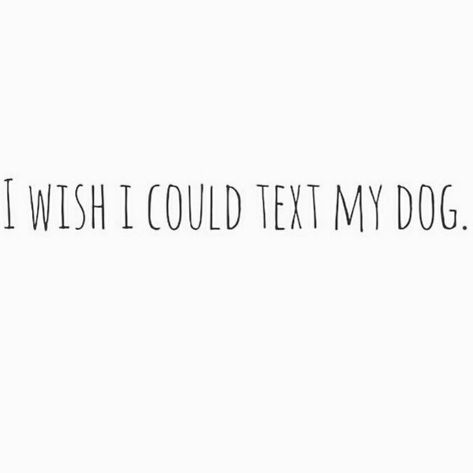 Cute Dog Quotes Short, Dog Quotes Short, Dog Mom Quotes, Dog Lover Quotes, Dog Quote, Dog Quotes Funny, Dog Branding, Quotes Short, Crazy Dog