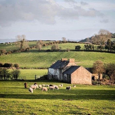 Aesthetic Ireland, Irish Aesthetic, Ireland Aesthetic, Irish Countryside, Irish Landscape, Irish Cottage, British Countryside, English Countryside, Farm Life