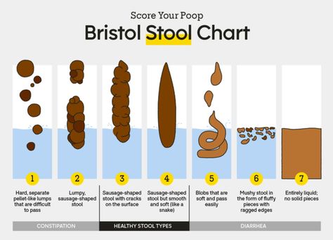 Scientists find important link between bowel movement frequency and overall health - The Brighter Side of News Bristol Stool, Bristol Stool Chart, Stool Chart, Bowel Movement, Body On, Overall Health, Number 2, Scientists, Bristol