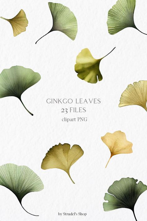 Leaf Tattoo, Leaves Watercolor, Ginkgo Leaves, Ginkgo Biloba, Ginkgo Leaf, Floral Elements, Watercolor Clipart, Leaf Tattoos, Estonia