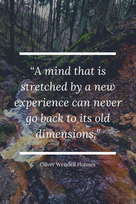 Experience Quotes Inspiration, New Experiences Quotes, Stretching Quotes, Life Experience Quotes, Travel Wisdom, Inspirational Travel Quotes, Experience Quotes, Stoic Quotes, Never Go Back