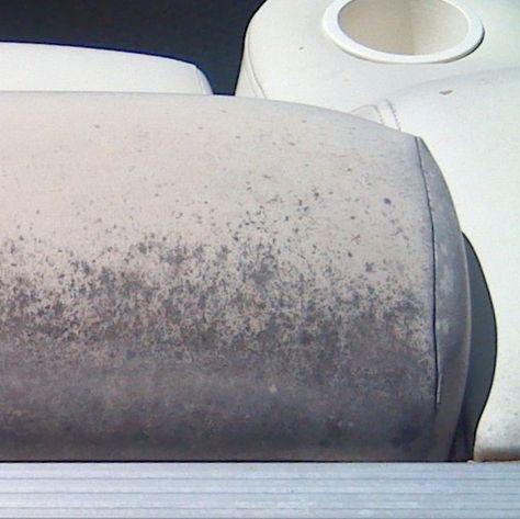 Fix mold, mildew and leaf stains on marine vinyl and boat upholstery. Pre-treat the material to kill any fungus, so it does not grow into the new finish. Diy Boat Seats, Diy Mold Remover, Remove Mold Stains, Clean Black Mold, Diy Vinegar, Mold Toxicity, How To Remove Mold, Remove Black Mold, Mold And Mildew Remover