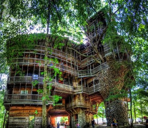 Tennessee Attractions, 80's Room, Chattanooga Choo Choo, Treehouse Masters, Building A Treehouse, Tree House Plans, Tree Fort, Tree House Diy, Cool Tree Houses