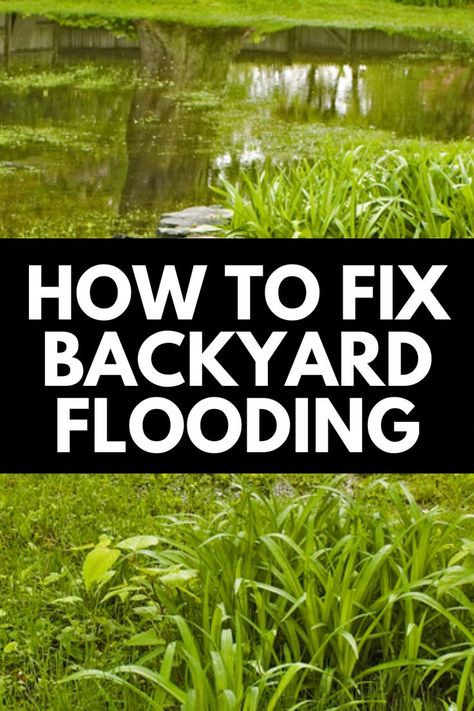 If your yard floods after heavy rains, then this guide is for you! Here, we discuss how to fix backyard flooding to reclaim your yard! Read more at OwnTheYard.com! How To Fix Swampy Yard, Water Pooling In Yard, Flood Plain Landscaping, Flood Zone Landscaping, Flooding Yard Solutions, Wet Yard Solutions Backyards, Flood Barrier Diy, Rain Scaping Ideas, Yard Flooding Solutions