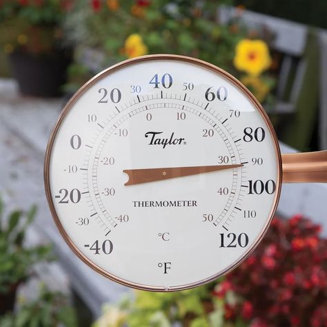 Taylor Precision Products Heritage 8.5" Dial Outdoor-thermometers, Copper & Reviews | Wayfair Seed Balls, Outdoor Thermometer, Stone Walkway, Rain Chain, Unique Gardens, Copper Metal, Copper Finish, Garden Accessories, Landscape Lighting