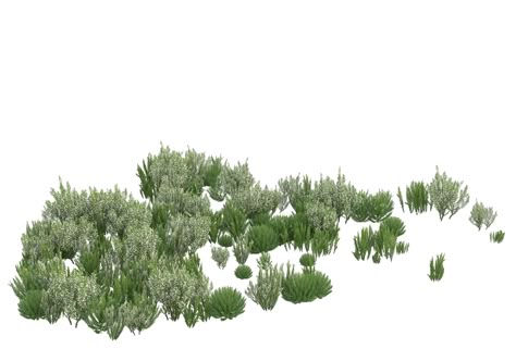 Tree Model, Vegetation Architecture, Timeline Design Landscape, Bushes Drawing, Texture For Photoshop, Vegetation Architecture Drawing, Architecture Trees, Architecture Collage Photoshop, Top View People