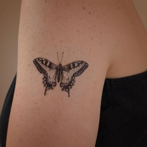 Butterfly Temporary Tattoo, Borboleta Tattoo, Tattoo Diy, Love Butterflies, The Metamorphosis, Tattoo Butterfly, Summer Tattoo, Muster Tattoos, Swallowtail Butterfly