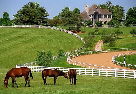 You'll Want To Take This Dreamy Road Trip Through Kentucky's Scenic Horse Country Kentucky Horse Farms, Future Farms, Ranch Farm, Farm Tour, Dream Barn, My Old Kentucky Home, Lexington Kentucky, Have Inspiration, Horse Ranch