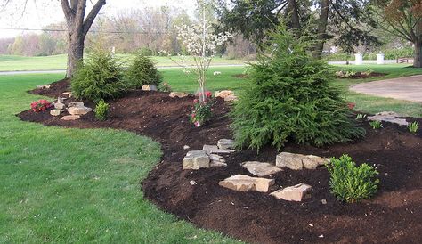 Front yard idea.  Would love to make my berm look like this! Landscape Mounds, Front Landscaping, Have Inspiration, Home Landscaping, Garden Yard Ideas, Landscaping Tips, The Grove, Outdoor Landscaping, Lawn And Garden