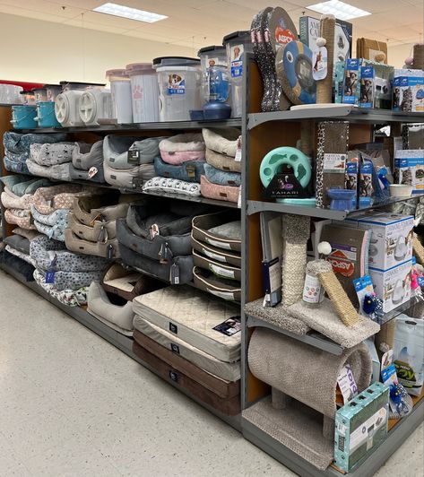 Never enough dog beds 🤣 Zoo Marketing, Pet Smart Store, Pet Store Display, Tj Maxx Decor, Pet Store Design, Pet Food Shop, Pet Store Ideas, Cat Kennel, Dog Business