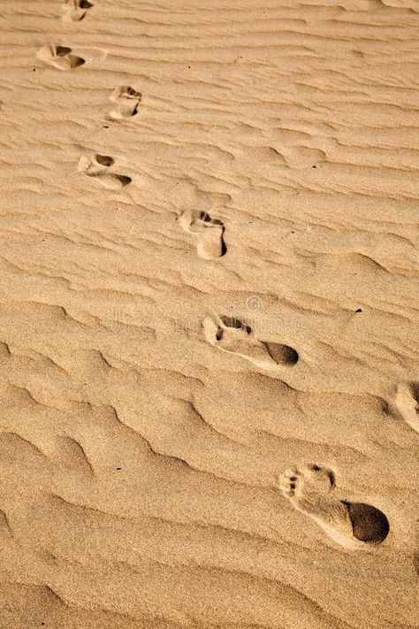 Rwby Aesthetic, Investigation Board, Sand Footprints, Forest Cave, Ocean Illustration, Shells Beach, Beach Illustration, Sea Sand, Shell Beach